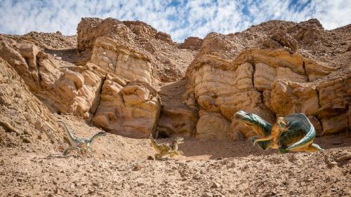 Valle De Majes, Una Historia De Petroglifos Y Huellas De Dinosaruios
